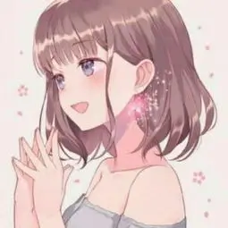 动画收藏家头像